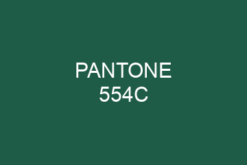 Peinture Pantone 554C