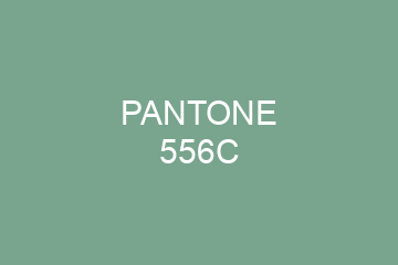 Peinture Pantone 556C