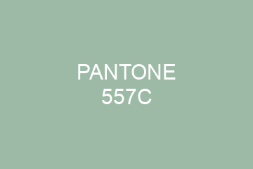 Peinture Pantone 557C