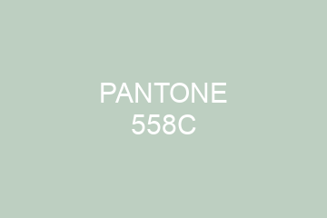 Peinture Pantone 558C