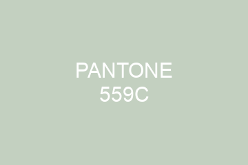 Peinture Pantone 559C