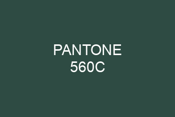 Peinture Pantone 560C