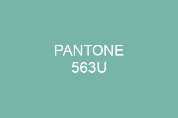 Peinture Pantone 563U