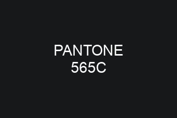 Peinture Pantone 565C