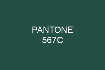 Peinture Pantone 567C