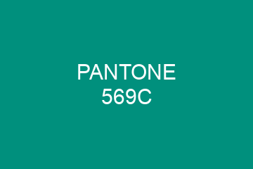 Peinture Pantone 569C