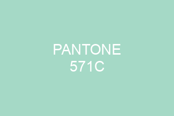 Peinture Pantone 571C