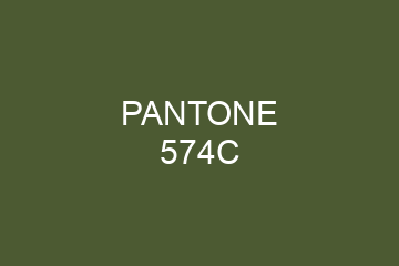 Peinture Pantone 574C