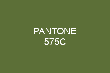 Peinture Pantone 575C