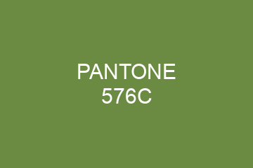 Peinture Pantone 576C