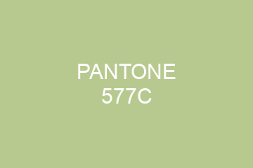 Peinture Pantone 577C