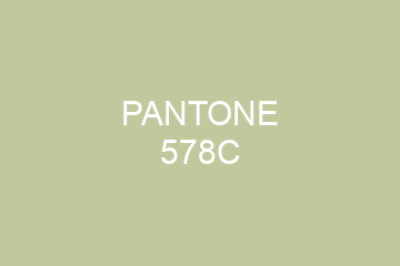 Peinture Pantone 578C