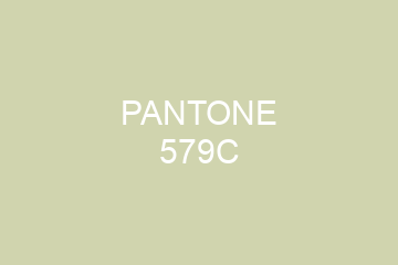 Peinture Pantone 579C