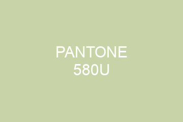 Peinture Pantone 580U