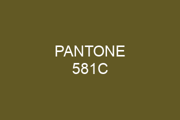 Peinture Pantone 581C