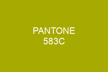 Peinture Pantone 583C