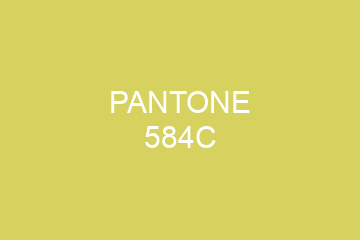 Peinture Pantone 584C