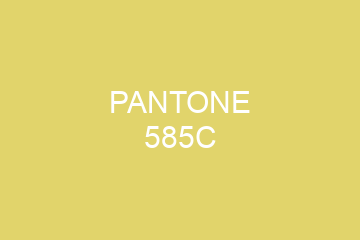 Peinture Pantone 585C