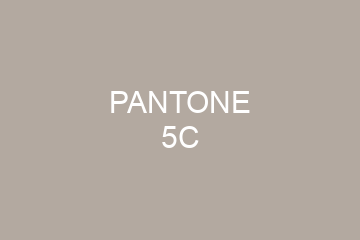 Peinture Pantone 5C