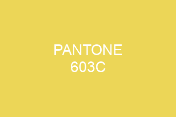 Peinture Pantone 603C