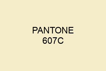 Peinture Pantone 607C