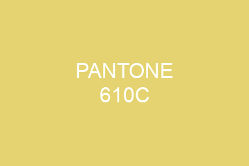 Peinture Pantone 610C