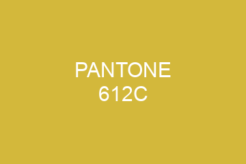 Peinture Pantone 612C