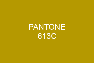 Peinture Pantone 613C