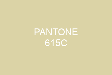 Peinture Pantone 615C