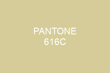 Peinture Pantone 616C