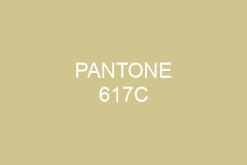 Peinture Pantone 617C