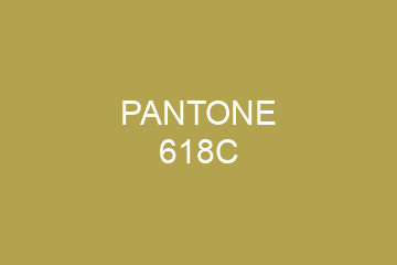 Peinture Pantone 618C