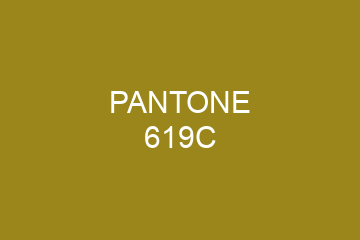 Peinture Pantone 619C