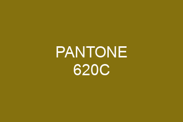 Peinture Pantone 620C