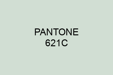 Peinture Pantone 621C