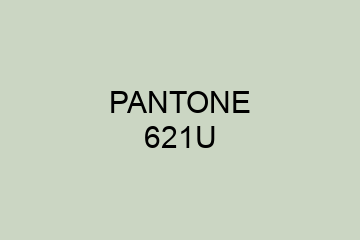 Peinture Pantone 621U