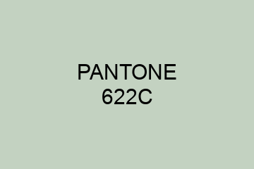 Peinture Pantone 622C