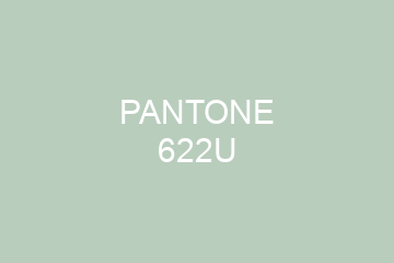 Peinture Pantone 622U