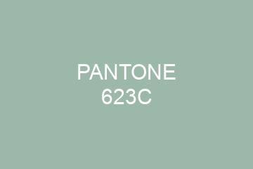 Peinture Pantone 623C