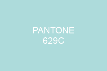 Peinture Pantone 629C