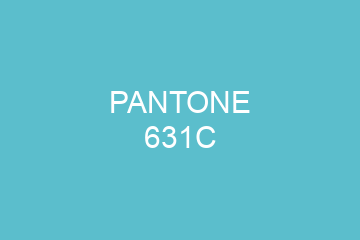 Peinture Pantone 631C