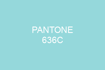 Peinture Pantone 636C