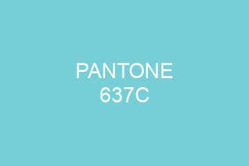 Peinture Pantone 637C