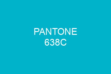 Peinture Pantone 638C