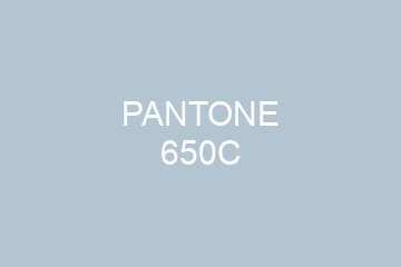 Peinture Pantone 650C