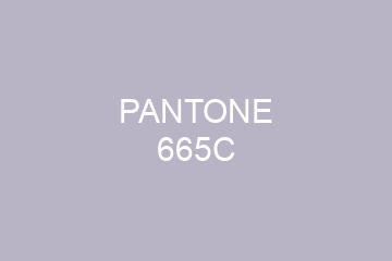 Peinture Pantone 665C