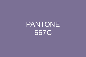 Peinture Pantone 667C