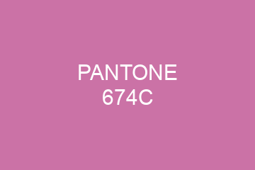 Peinture Pantone 674C