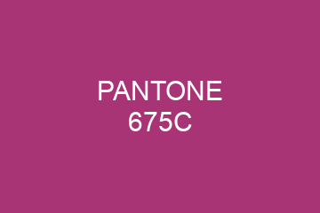 Peinture Pantone 675C