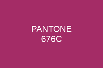 Peinture Pantone 676C